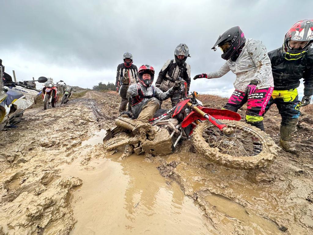 Reichel al barro